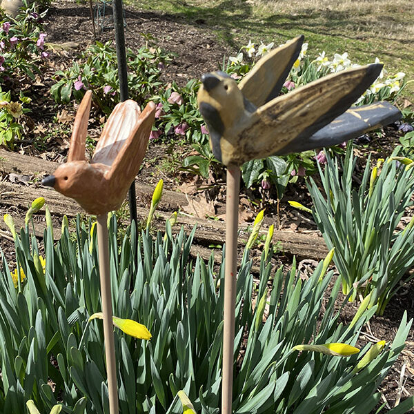 Garden Birds